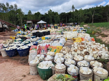 ติดตามผลการรวบรวมยางพาราของกลุ่มเกษตรกรทำสวนยางพารานาเมือง พารามิเตอร์รูปภาพ 3